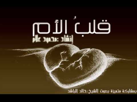 قلب